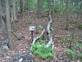 Old Hill Village - South End 270